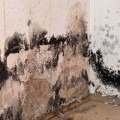 Kan spouwmuurisolatie zwarte schimmel veroorzaken?