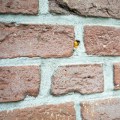 Wanneer moet u geen spouwmuurisolatie installeren?